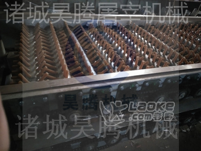 鸽子鹌鹑通用脱毛机的价格_0