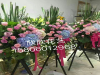 福州闽侯花店｜福州闽侯送花｜福州闽侯花蓝预定｜开业花蓝预定｜乔迁花蓝预定｜福州庆典花蓝预定｜闽侯乔迁花蓝预定｜闽侯庆典花蓝预定｜福州花店送花服务｜福州庆典鲜花