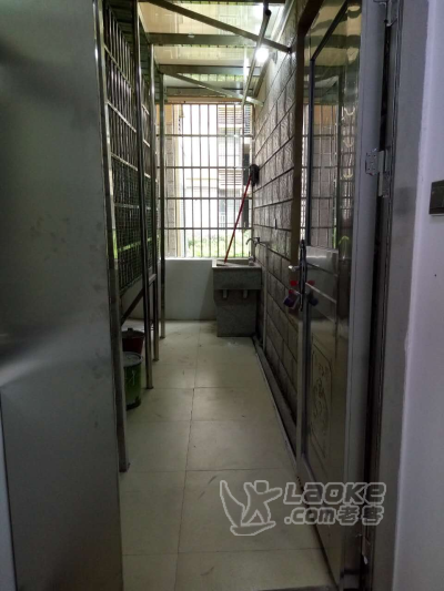 出租市中心繁华地段，全新家电，全新装修房，市一小,四中,学区房_2
