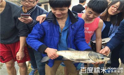 本农趣园有骑马、越野摩托车、脚踏船、捉鱼、自行车、烧烤等娱乐项目_3