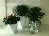 大兴区绿植花卉租摆租赁公司