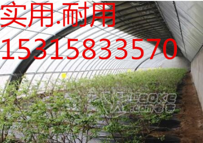 防草布热销产品，欢迎各界用户咨询订购_4