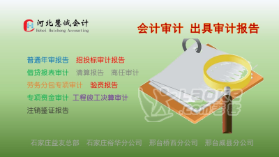 高新审计，专项审计，投标审计，社团年审，验资报告_2