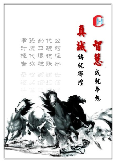 高新审计，专项审计，投标审计，社团年审，验资报告_5