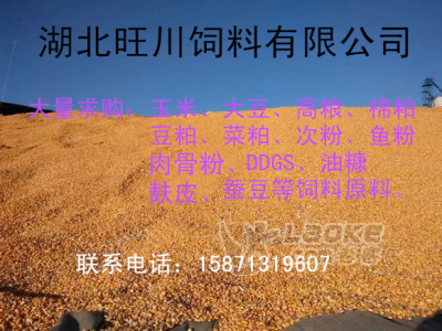 旺川求购高粱麸皮玉米菜粕_0