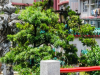 没办港澳通行证, 我拿内地护照游香港澳门可以吗?