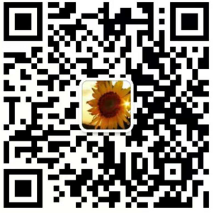 区块链技术应用开发，公链系统开发_0
