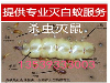 南海平洲专业灭白蚁杀虫灭蟑螂灭跳蚤灭臭虫灭鼠