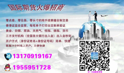 宁夏远大国际期货招商招代理加盟以小博大赚钱好项目_0