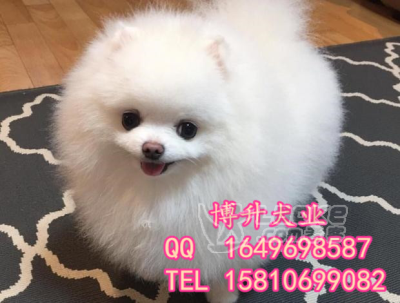 地瓜封沟封沟起垄机厂家直销_0