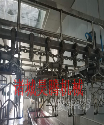 鹅屠宰加工生产线报价_3