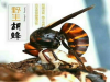 健康安全的雄蜂老蜂子运营而生