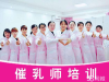 学催乳培训班价格优惠0基础包教会轻松通过