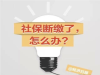 社保能不能一次性缴纳 生育险可以补缴吗 怎样补缴？