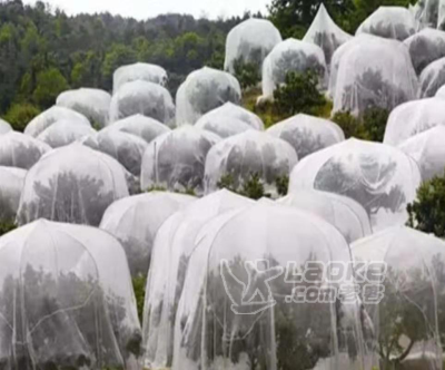 加宽拼接耐用防虫网批发直供果树防虫网脐橙防虫网批发_0