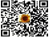 区块链应用开发，区块链支付系统开发