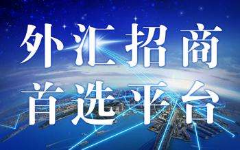 WIT外汇智宏国际百度搜索诚招代理85至90_0