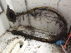 疏通厕所 疏通马桶 疏通下水道 清理化粪池等一系列管道