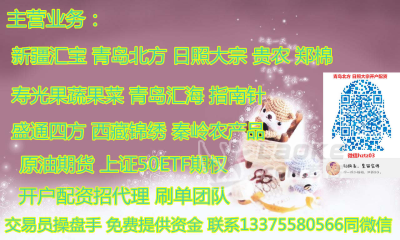 贵州遵义指南针开户系统优化盘口申买量操作精准_0