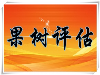 甘孜绿化树苗木拆迁，果园拆迁评估，观赏树拆迁评估