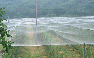 全新料的平织光滑防虫网批发结实的蔬菜防虫网_0
