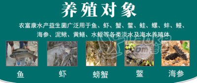 不用水产菌液养殖有什么坏处_0
