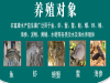 正在使用水产菌液的可以介绍下经验吗