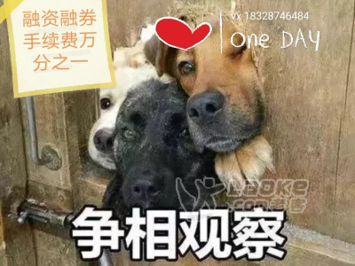安徽毫州科创板散户炒股交易规则有哪些？怎么开科创板？ 万分之一A级证券公司开户_1