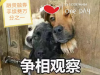 山东青岛怎么选择开户证券公司？只选佣金低的吗？