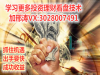 鑫惠国际平台的稳定性怎么样能赚钱吗
