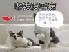 江西景德镇开户优惠！A级证券公司股票开户佣金低至万分之1包含规费和过户费
