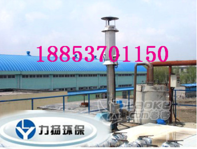 河南新乡沼气排放咨询-200立方内燃式火炬方案_0