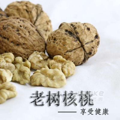 商洛蓝老树核桃具有哪些好处？_0