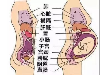 怀孕了胸闷气短、喘不过气！这是胎宝缺氧了吗？
