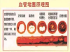 洗冷水澡究竟是强身还是伤身？