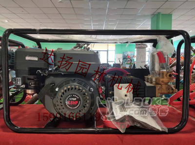 绿嘉26直连框架式打药机果园喷雾器陕西达扬园林供应_0