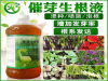 远志种子催芽剂厂家直销