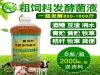 广东橘树叶发酵剂哪里有卖