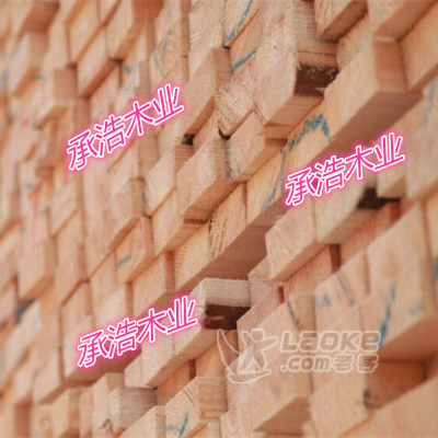 连云港加拿大建筑木方_2