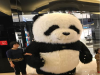 青岛玩偶服人偶服出租小丑编气球租赁
