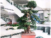 室内绿化租赁质量高 售后服务好的室内绿植租赁，选择森永园艺