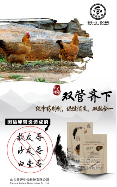 蛋鸭产蛋率低怎么办-怎么提高蛋鸭产蛋率-种鸭场真实案例_0