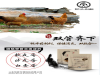 蛋鸭产蛋率低怎么办-怎么提高蛋鸭产蛋率-种鸭场真实案例