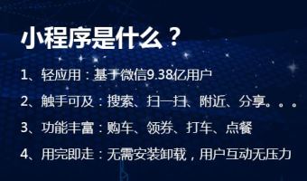 繁树专业开发生产广东小程序定制等IT科技领域的产品_0