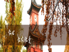 成都华西皮肤科排名_华西整形美容医院