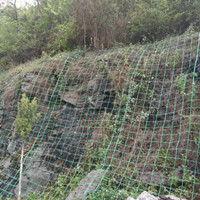 贵州遵义边坡绿化攀爬网绿化攀爬网批发价格规格齐全_1