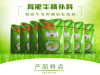 肉牛吃什么饲料好-怎样快速催肥-肉牛育肥牛催肥要点