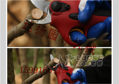 充电果树修枝剪园林电动修枝剪电动粗枝修枝剪_3