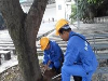 成都长盛灭鼠除虫四害消杀公司口碑好，多年专业经营市场