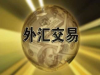 聚宏伟业推出外汇平台搭建，用得舒心的人气产品